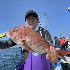 10月 1日（土） 午前便・ウタセ真鯛の写真その1