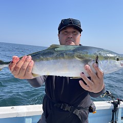 10月 1日（土） 午前便・ウタセ真鯛の写真その7