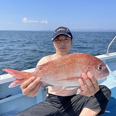 10月 1日（土） 午前便・ウタセ真鯛の写真その9