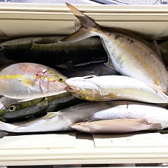 10月 23日（日） 午前・カワハギ釣り・午後・ウタセ真鯛の写真その7