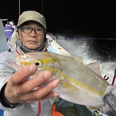 11月 16日（水） 午後便・ウタセ真鯛の写真その4