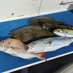 12月 1日（木） 午前便・ヒラメ釣りの写真その2