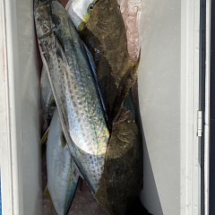 12月 1日（木） 午前便・ヒラメ釣りの写真その8