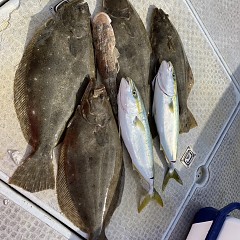 12月 2日（金） 午前便・ヒラメ釣りの写真その6