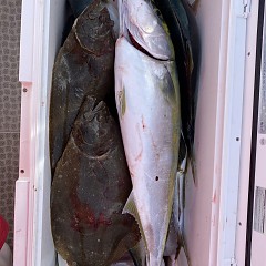 12月 2日（金） 午前便・ヒラメ釣りの写真その7