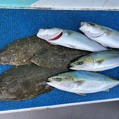 12月 2日（金） 午前便・ヒラメ釣りの写真その9