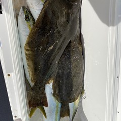 12月 2日（金） 午前便・ヒラメ釣りの写真その11