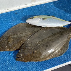 12月 2日（金） 午前便・ヒラメ釣りの写真その12
