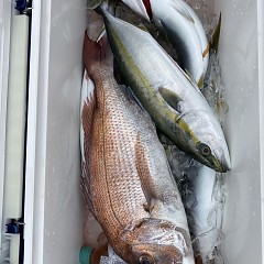 12月 4日（日） 午前便・ヒラメ釣りの写真その12