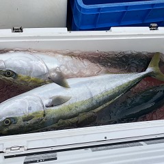 12月 5日（月） 午前便・ヒラメ釣りの写真その2