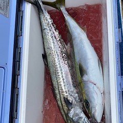 12月 5日（月） 午前便・ヒラメ釣りの写真その6