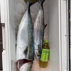 12月 5日（月） 午前便・ヒラメ釣りの写真その7