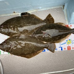 2月 3日（金） 1日便・泳がせ釣りの写真その6
