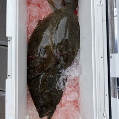2月 3日（金） 1日便・泳がせ釣りの写真その7