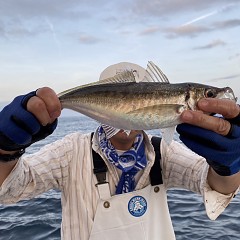 5月 20日（土） 午前・午後・アジ釣りの写真その4