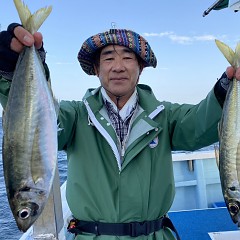 5月 23日（火） 午後便・アジ釣りの写真その1