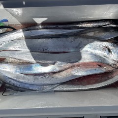 8月 25日（金）タチウオ釣りの写真その10