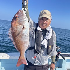 9月 27日（水）午後便・ウタセ真鯛の写真その1