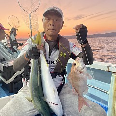 9月 27日（水）午後便・ウタセ真鯛の写真その6