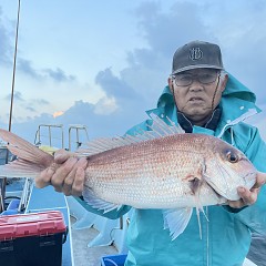 11月 5日（日）午後便・ウタセ真鯛の写真その2