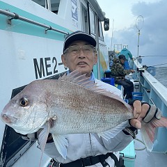 11月 5日（日）午後便・ウタセ真鯛の写真その3