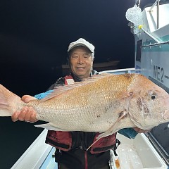 11月 8日（水）午後便・ウタセ真鯛の写真その1