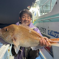 11月 8日（水）午後便・ウタセ真鯛の写真その2