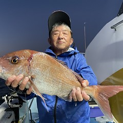 11月 8日（水）午後便・ウタセ真鯛の写真その4