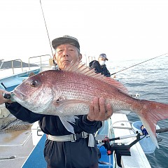 11月 8日（水）午後便・ウタセ真鯛の写真その6