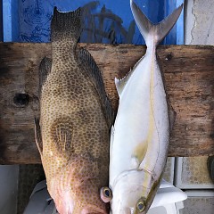 11月 11日（土）午前便・ヒラメ釣りの写真その7