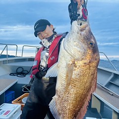 11月 12日（日）午後便・ウタセ真鯛の写真その1