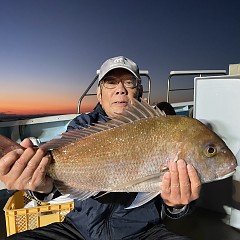 11月 15日 （水）午後便・ウタセ真鯛の写真その5