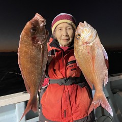 11月 15日 （水）午後便・ウタセ真鯛の写真その6