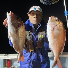 11月 15日 （水）午後便・ウタセ真鯛の写真その8