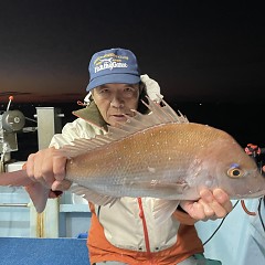 11月 23日（木）午後便・ウタセ真鯛の写真その6