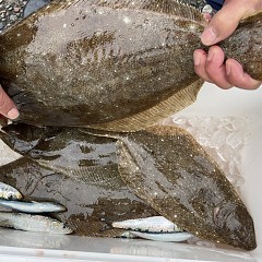 1月3日（水）泳がせ釣りの写真その3