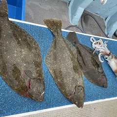 1月3日（水）泳がせ釣りの写真その4