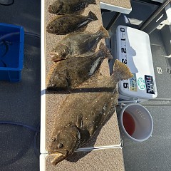 1月 5日（金）午前便・泳がせ釣りの写真その8