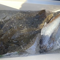 1月 5日（金）7時出船・泳がせ釣りの写真その9