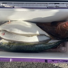1月 7日（日）泳がせ釣りの写真その9