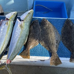 1月 9日（火 泳がせ釣りの写真その8