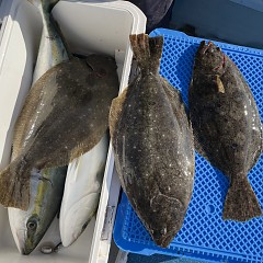 1月 9日（火 泳がせ釣りの写真その10