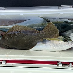 1月 9日（火 泳がせ釣りの写真その11