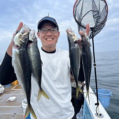 4月 7日（日） 午後便・アジ釣りの写真その1