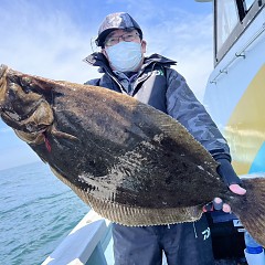 4月 12日（金）午前便・泳がせ釣りの写真その1