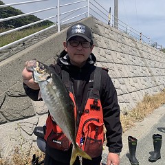 4月 13日（土）午前便・アジ釣りの写真その7