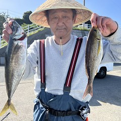 5月 16日（木）午後便・アジ釣りの写真その3