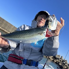 5月 16日（木）午後便・アジ釣りの写真その4