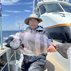 6月 1日（土）午前便・イシダイ釣りの写真その1