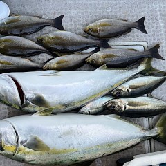 6月 2日（日）午後便・イサキ釣りの写真その9